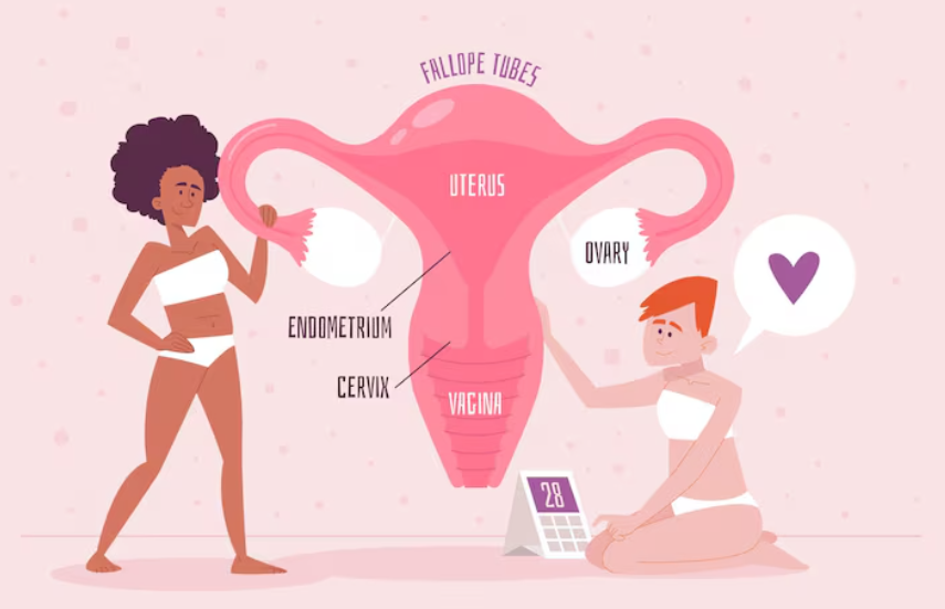 The Truth Every Woman Should Know