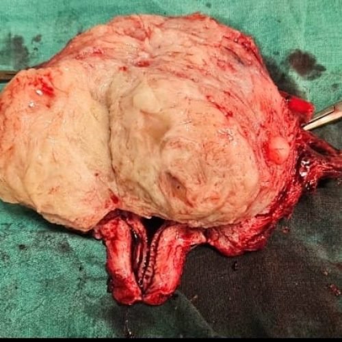 WhatsApp Image 2025-02-26 at 1.28.54 PM (1)